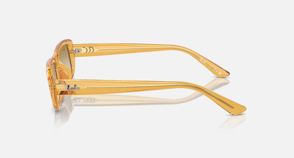 Ray-Ban RB4436D 668213