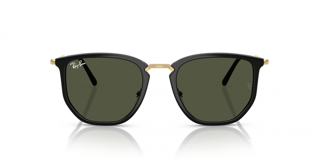 Ray-Ban RB4451 630631