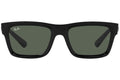 Ray-Ban Warren RB4396 667771