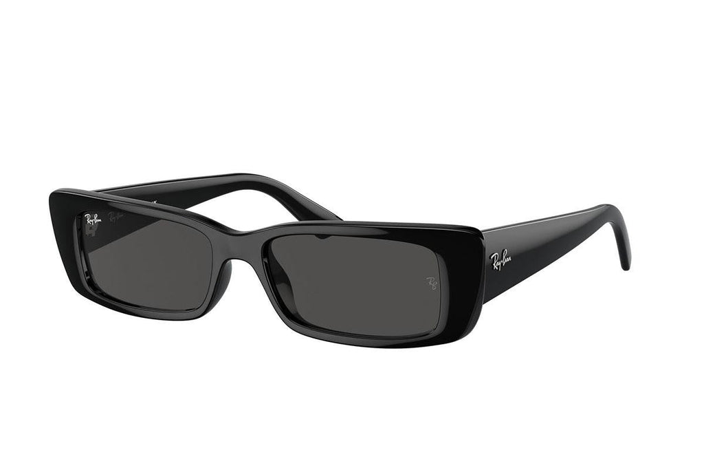 Ray-Ban Teru RB4425 667787