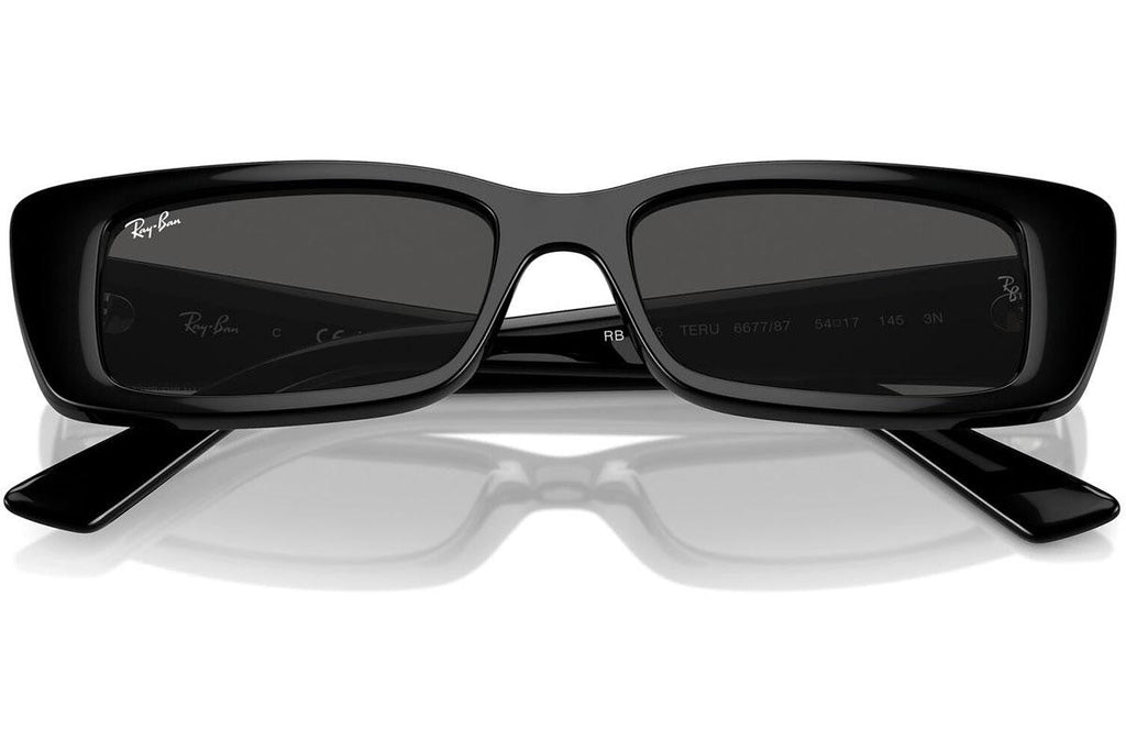Ray-Ban Teru RB4425 667787