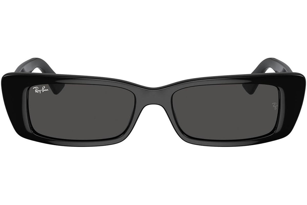 Ray-Ban Teru RB4425 667787
