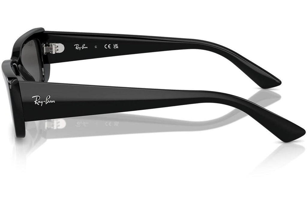 Ray-Ban Teru RB4425 667787