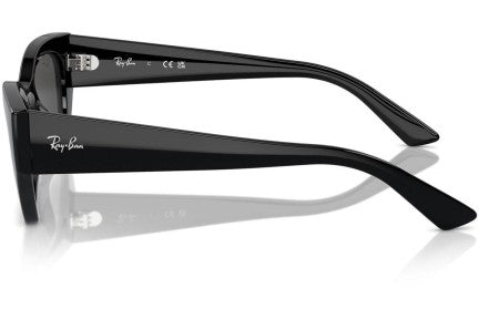 Ray-Ban Zena RB4430 667787