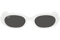 Ray-Ban RB4441D 677287