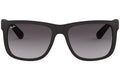 Ray-Ban Justin Classic RB4165 601/8G