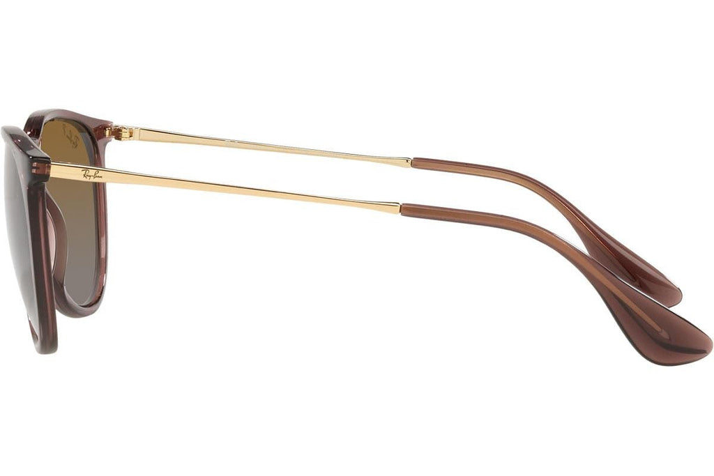 Ray-Ban Erika RB4171 6593T5 Polarized