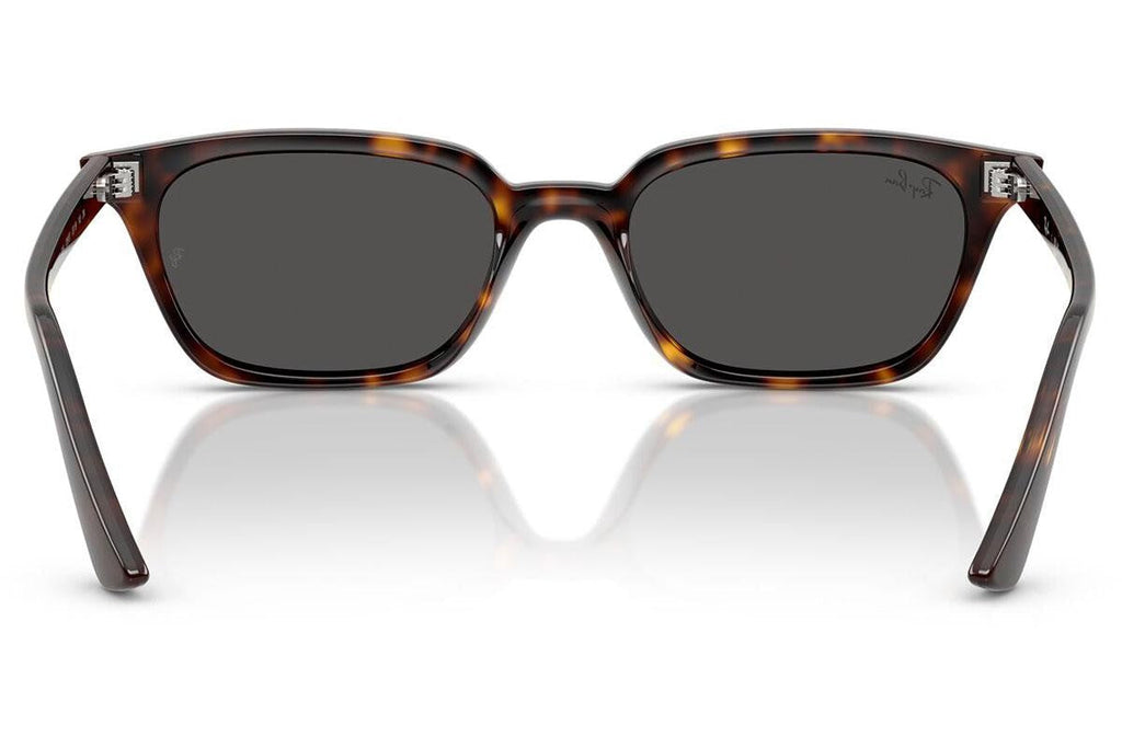 Ray-Ban Zaya RB4456 135987