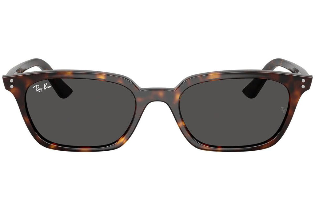 Ray-Ban Zaya RB4456 135987