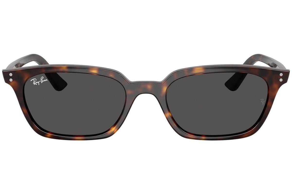 Ray-Ban Zaya RB4456 135987