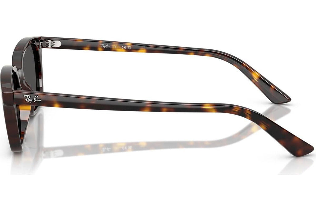 Ray-Ban Zaya RB4456 135987