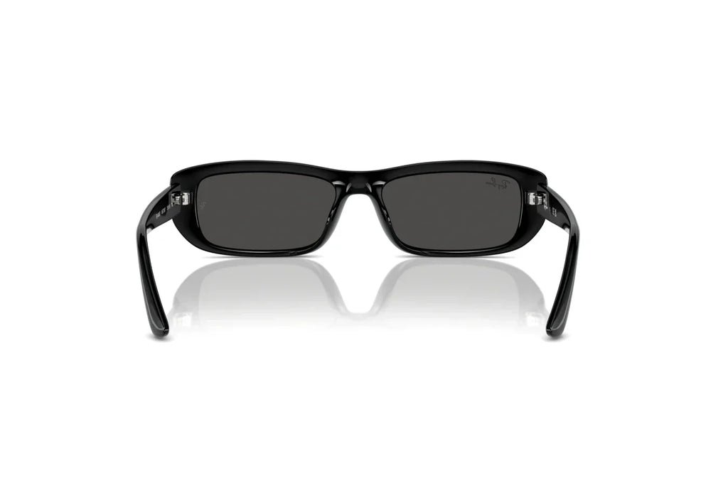 Ray-Ban RB4436D 667787