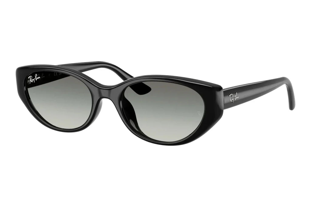 Ray-Ban RB4457D 667711