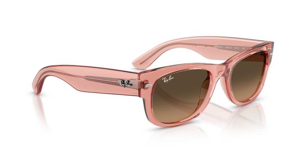 Ray-Ban Mega Wayfarer 2 RB0832S 6848/43