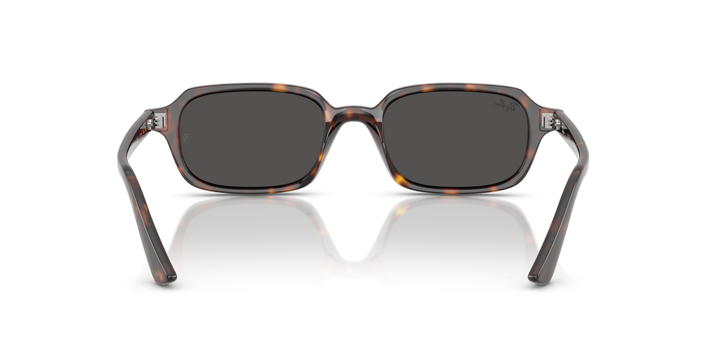 Ray-Ban Zuri RB4455 1359/87